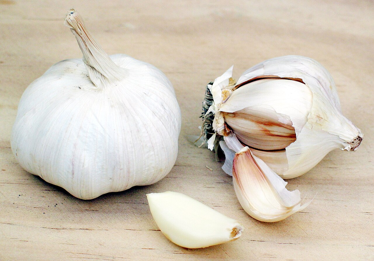 Garlic extract (Allium sativum)