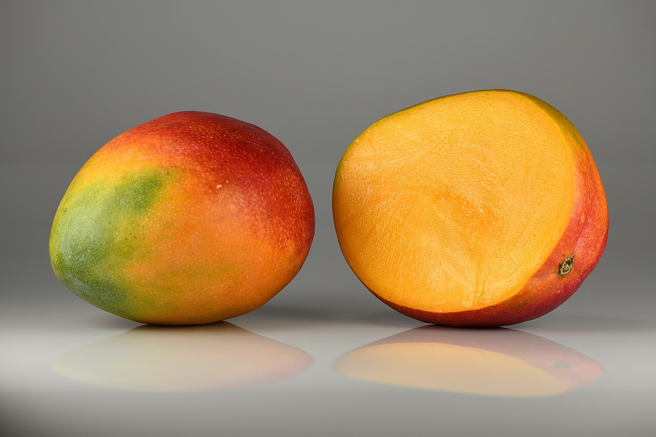 Indian mango extract